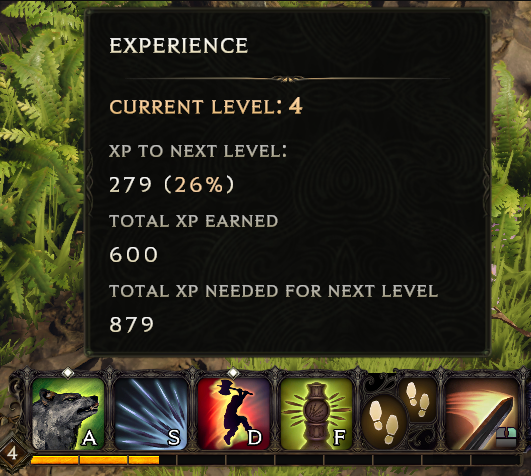 experience window.png